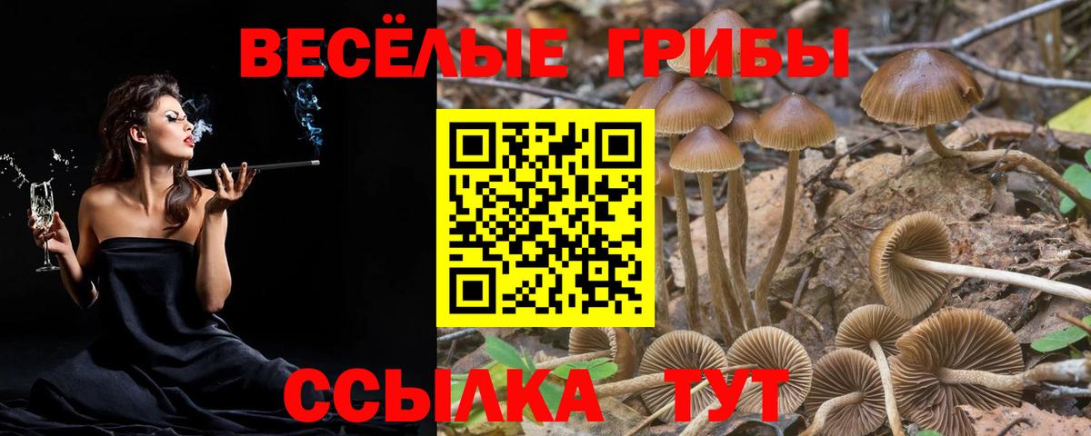 Галлюциногенные грибы Magic Shrooms Майский